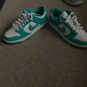 These shoes are nike dunks